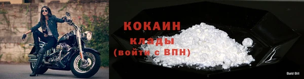 трава Бородино