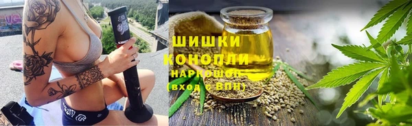 трава Бородино