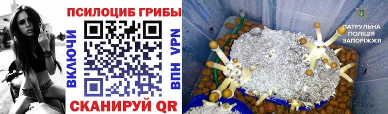 Галлюциногенные грибы Magic Shrooms  Горняк 